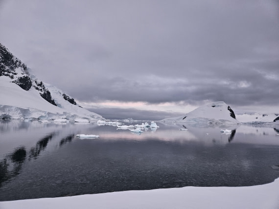 HDS23-24, Day 8, 20241130_233431 © Unknown photographer - Oceanwide Expeditions.jpg