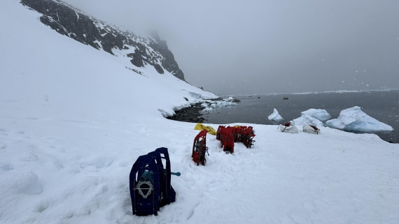 HDS23-24, Day 8, snowshoes-orneharbour © Meike Sjoer - Oceanwide Expeditions.JPG