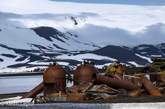HDS23-24, Day 10, 12-2 Deception Island KL1_6127 © Keith Lepor - Oceanwide Expeditions.jpg