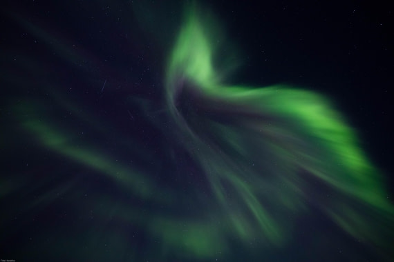 lr_Greenland2019_Frits Hendriks_02.jpg