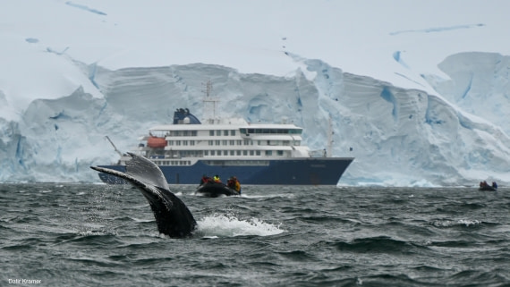 Antarctic encounter