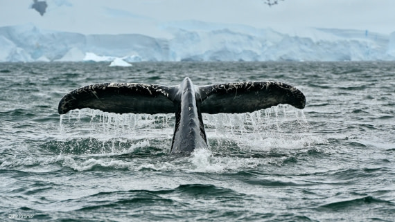 Up close and personal