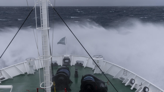 OTL24-24, Day 2, Drake shake 1 © Sara Jenner - Oceanwide Expeditions.jpg