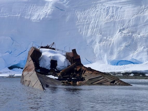 OTL24-24, Day 4, Governoren ©  Unknown photographer - Oceanwide Expeditions.jpg