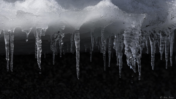 OTL24-24, Day 5, Ice © Sara Jenner - Oceanwide Expeditions.jpg