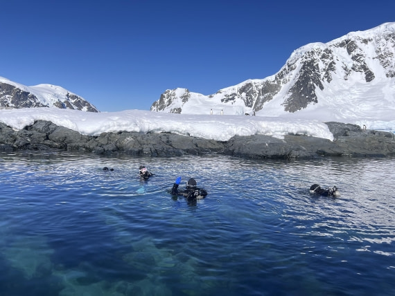 OTL24-24, Day 5, IMG_3830 ©  Unknown photographer - Oceanwide Expeditions.jpg