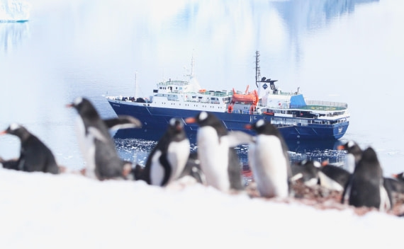 OTL24-24, Day 5, IMG_9177 © Unknown photographer - Oceanwide Expeditions.JPG