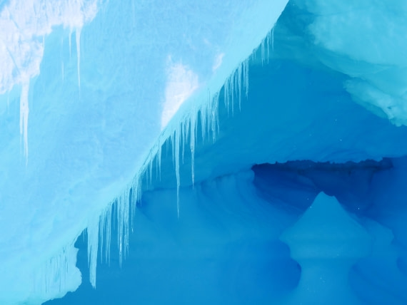 OTL24-24, Day 6, P1102907 © Unknown photographer - Oceanwide Expeditions.JPG