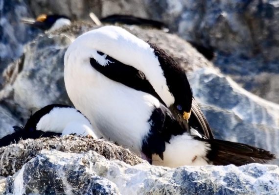 OTL24-24, Day 7, P1103356 © Tanja Bayer - Oceanwide Expeditions.jpg