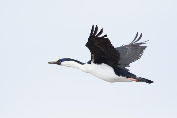 OTL24-24, Day 8, IMG_9461 © Unknown photographer - Oceanwide Expeditions.JPG