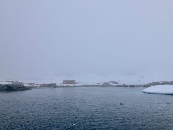 HDS24-24, Day 4, IMG_0060 © Unknown photographer - Oceanwide Expeditions.jpg