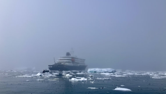 HDS24-24, Day 4, IMG_3135 © Unknown photographer - Oceanwide Expeditions.jpeg