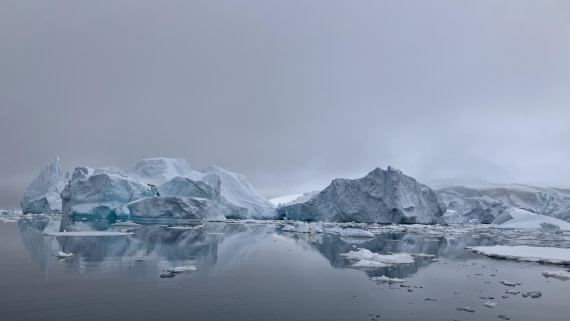 HDS24-24, Day 4, IMG_3145 © Unknown photographer - Oceanwide Expeditions.jpeg