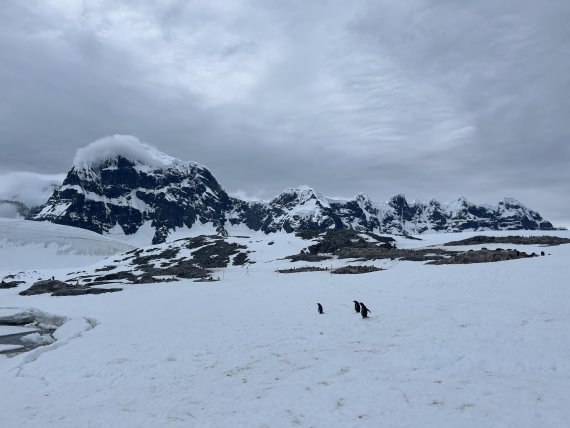HDS24-24, Day 5, IMG_8060 © Unknown photographer - Oceanwide Expeditions.JPG