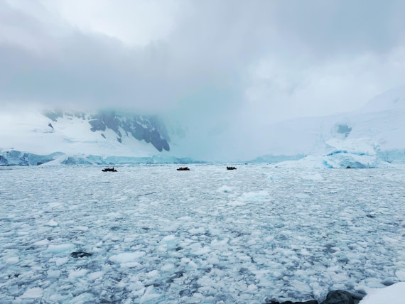 HDS24-24, Day 7, IMG_6377 © Unknown photographer - Oceanwide Expeditions.jpg