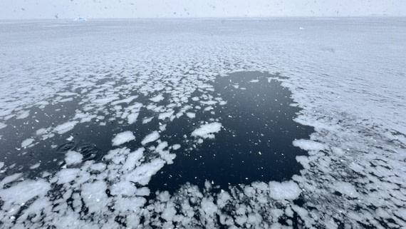 HDS24-24, Day 8, formingpancakeice-meike © Meike Sjoer - Oceanwide Expeditions.jpg