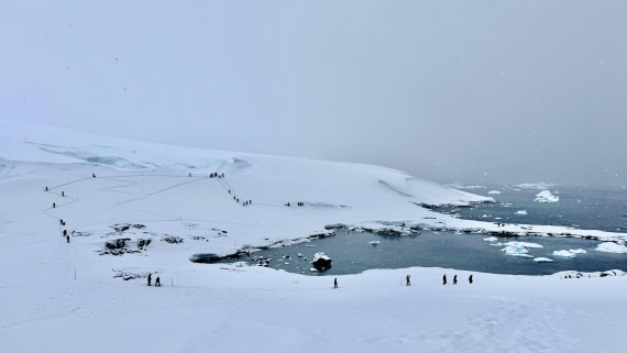 HDS24-24, Day 8, snowworldoverview-meike 2 © Meike Sjoer - Oceanwide Expeditions.jpg