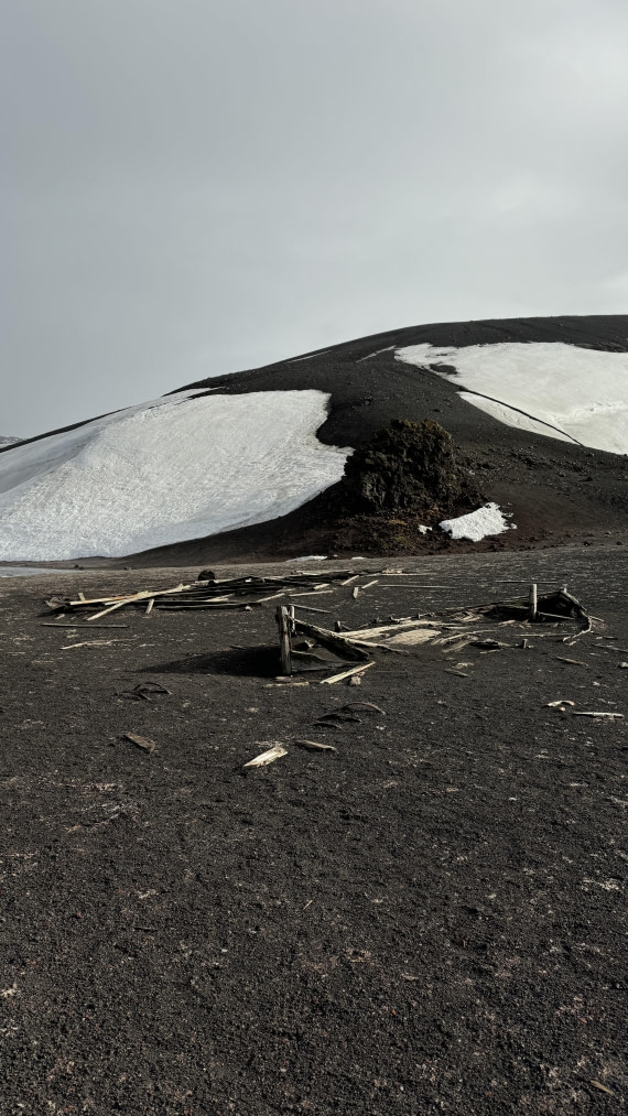 HDS24-24, Day 10, IMG_4136 ©Unknown photographer - Oceanwide Expeditions.jpg