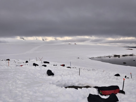HDS24-24, Day 4, 20241209_003116 © Unknown photographer - Oceanwide Expeditions.jpg