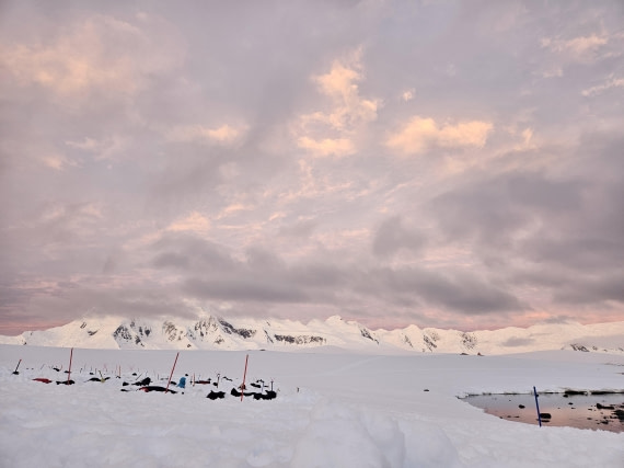 HDS24-24, Day 4, 20241209_022825 © Unknown photographer - Oceanwide Expeditions.jpg