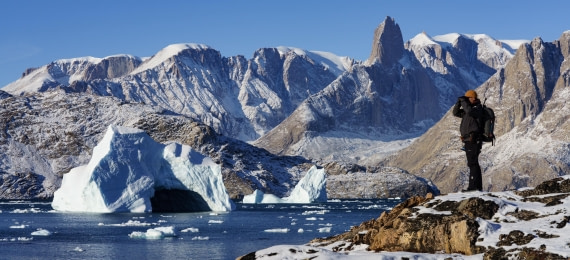 Scouting for polar bears