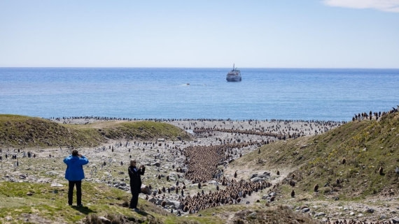PLA24-24, Day 9, King penguins and Plancius © Unknown photographer - Oceanwide Expeditions.jpg