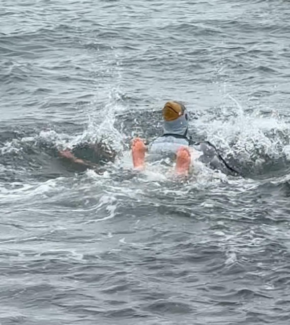 The rare Pink Toed Plunging Penguin