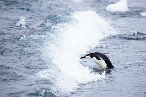 Is the water still cold?