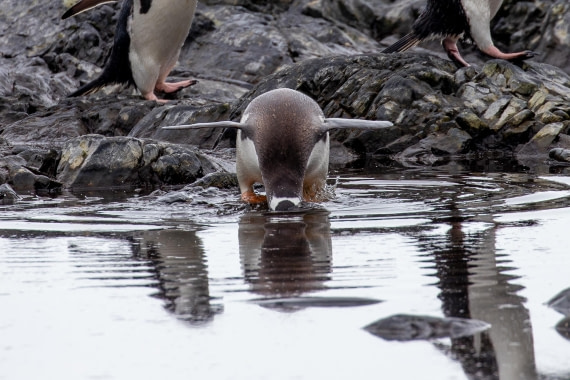 And what is underwater?