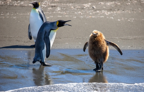 And one more time: do NOT go into the water!