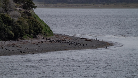 OTL25-25, Day 1, IMG_3112 © Unknown photographer - Oceanwide Expeditions.jpg