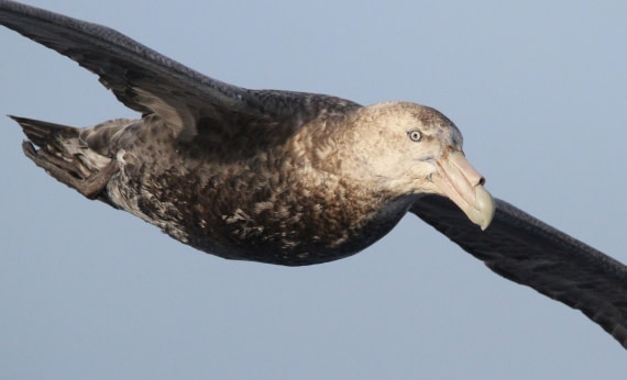 OTL25-25, Day 2, IMG_0649 © Unknown photographer - Oceanwide Expeditions.JPG