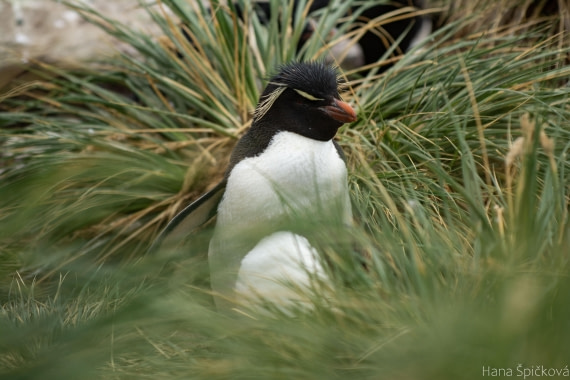 OTL25-25, Day 3, _DSC3363 © Hana Spickova - Oceanwide Expeditions.jpeg