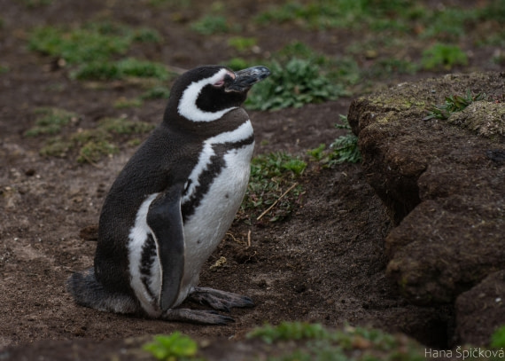 OTL25-25, Day 3, _DSC3449 © Hana Spickova - Oceanwide Expeditions.jpeg