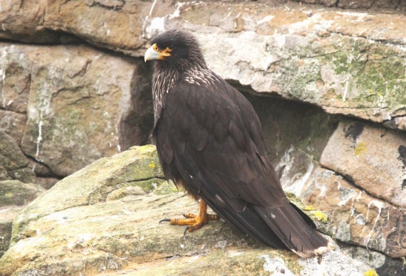 OTL25-25, Day 3, IMG_1632 © Unknown photographer - Oceanwide Expeditions.JPG