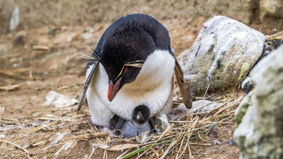 OTL25-25, Day 3, IMG_3433 © Unknown photographer - Oceanwide Expeditions.jpg