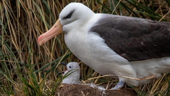 OTL25-25, Day 3, IMG_3654 © Unknown photographer - Oceanwide Expeditions.jpg