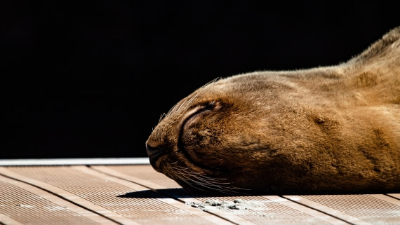 OTL25-25, Day 4, IMG_3837 © Unknown photographer - Oceanwide Expeditions.jpg