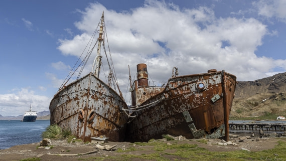 OTL25-25, Day 7, Grytviken 7 © Sara Jenner - Oceanwide Expeditions.jpg