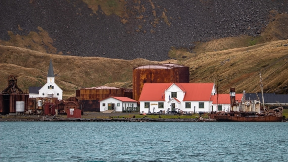 OTL25-25, Day 7, IMG_3978 © Unknown photographer - Oceanwide Expeditions.jpg