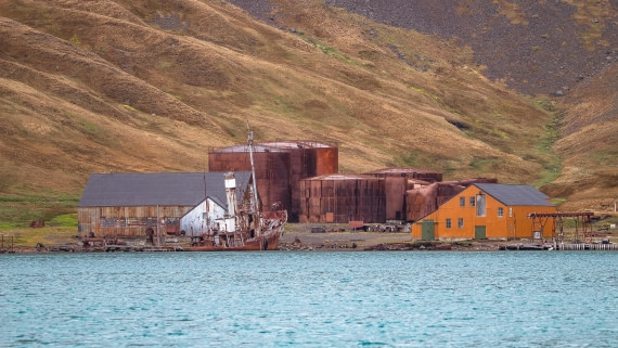 OTL25-25, Day 7, IMG_3982 © Unknown photographer - Oceanwide Expeditions.jpg