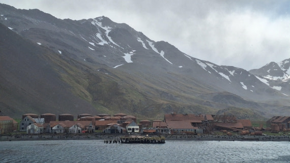 OTL25-25, Day 8, 20241217_163955 © Julian Robinson - Oceanwide Expeditions.jpg