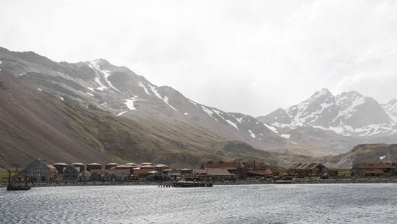 OTL25-25, Day 8, Stromness © Sara Jenner - Oceanwide Expeditions.jpg