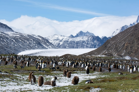 OTL25-25, Day 9, _DSC3865 © Hana Spickova - Oceanwide Expeditions.jpeg