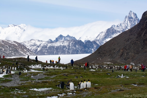 OTL25-25, Day 9, _DSC3913 © Hana Spickova - Oceanwide Expeditions.jpeg