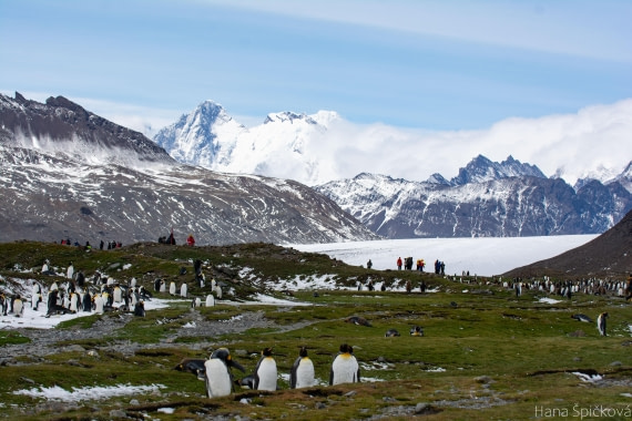 OTL25-25, Day 9, _DSC3917 © Hana Spickova - Oceanwide Expeditions.jpeg