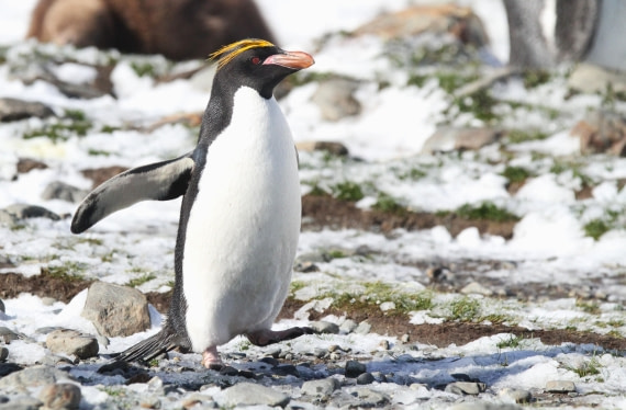 OTL25-25, Day 9, IMG_3092 © Unknown photographer - Oceanwide Expeditions.JPG