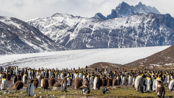 OTL25-25, Day 9, IMG_4273 © Unknown photographer - Oceanwide Expeditions.jpg