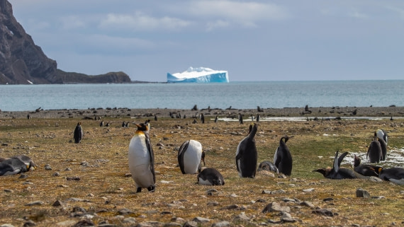 OTL25-25, Day 9, IMG_4353 © Unknown photographer - Oceanwide Expeditions.jpg