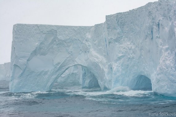 OTL25-25, Day 11, _DSC3969 © Hana Spickova - Oceanwide Expeditions.jpeg